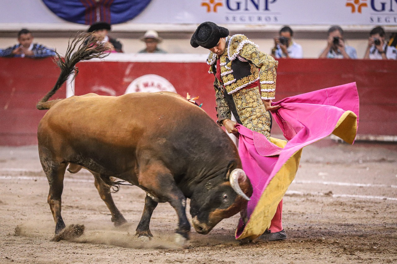 Corridas de toros volverán a la Plaza México determina SCJN Ahora