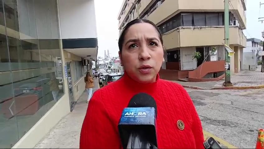 Se espera que antes que finalice enero llegue la iniciativa de Movilidad al Congreso: Abby Tejeda