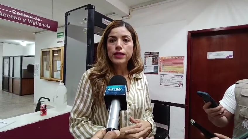 Comité del Ciudadano del SEA se reuniran con el INEGI: Arcelia Ulloa Donjuán