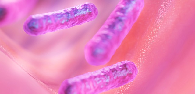 Revelan mecanismo que promueve la resistencia de superbacterias a los antibióticos