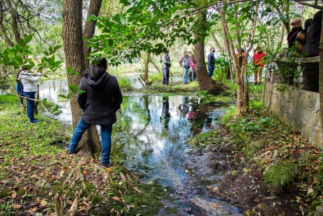Ambientalistas exigen mayor protección para los humedales en el sureste de México