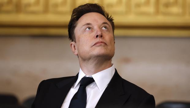 Doce estados de EU interponen demanda para detener acceso de Musk a datos de ciudadanos