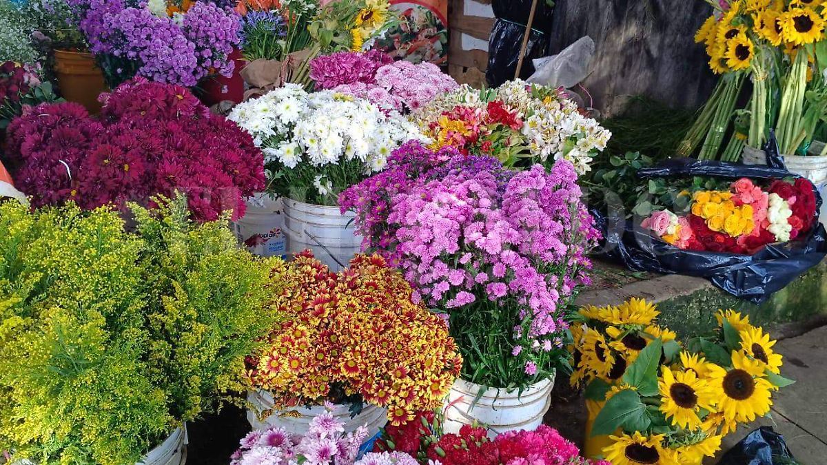 Precio de flores podría incrementar un 30 por ciento