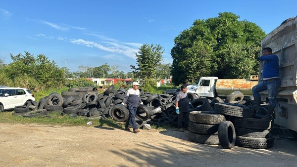 Mantiene Salud destrucción masiva de llantas para prevenir el dengue en Tabasco