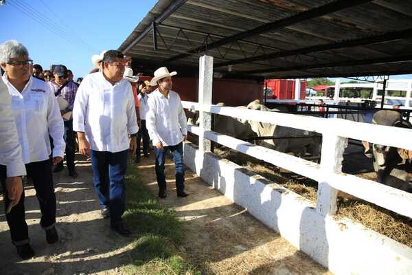 Gobierno del Pueblo entrega los primeros 100 paquetes del Programa Crédito Ganadero a la Palabra