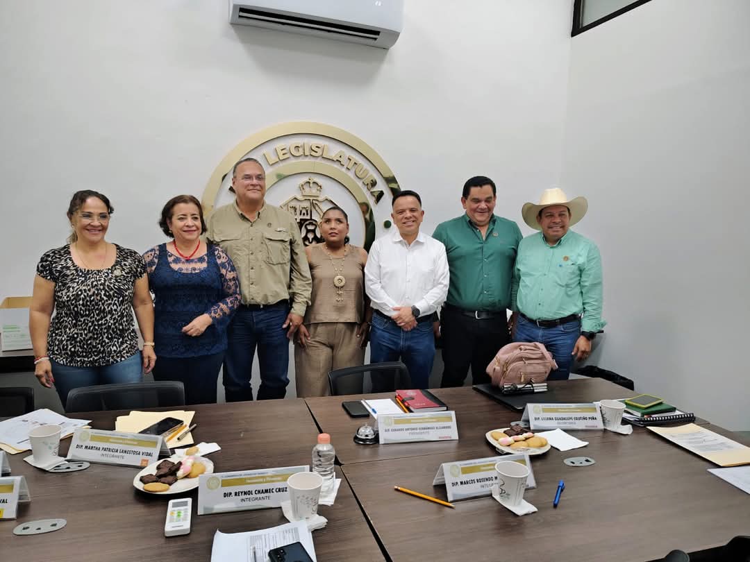 Refinanciamiento pone en riesgo finanzas de Tabasco: Patricia Lanestosa