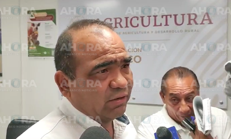 Se prevén lluvias para este fin de semana