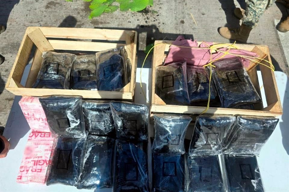 México decomisa un cargamento de 275.000 pastillas de fentanilo oculto en carga de nopales