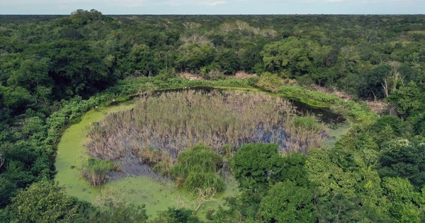 Arqueólogos hallan nuevo palacio maya en X´baatún, Yucatán