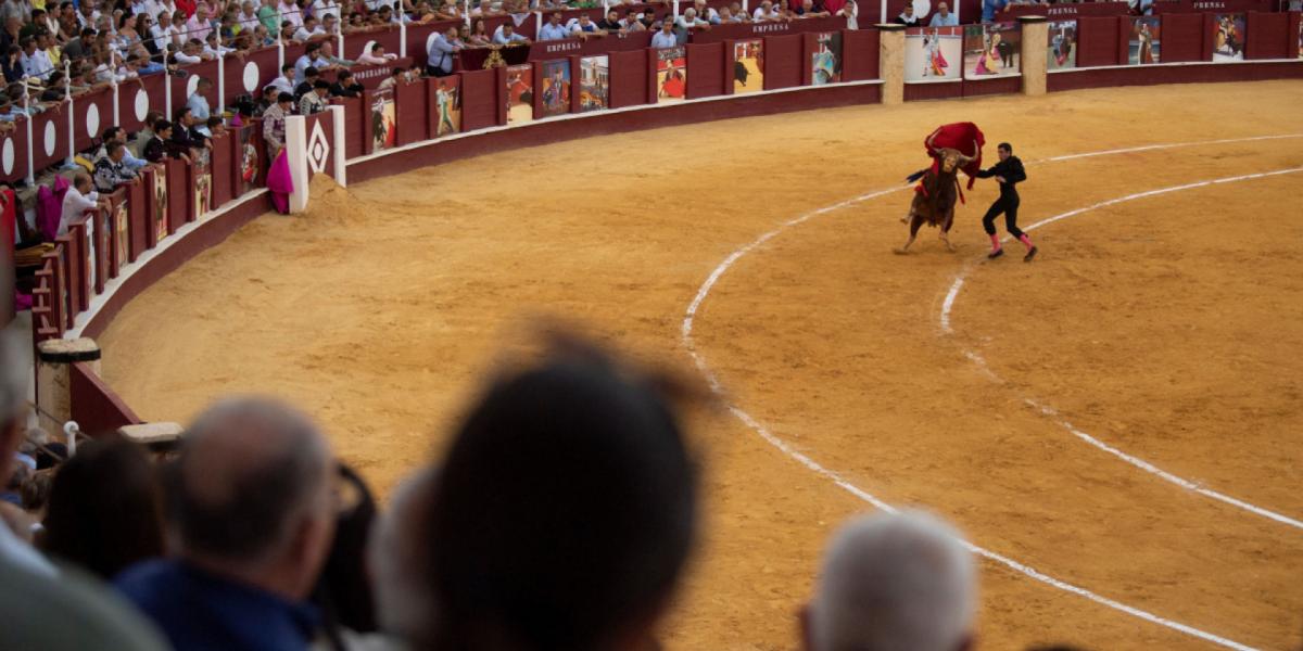 Es oficial: CDMX publica decreto que prohíbe corridas de toros con violencia