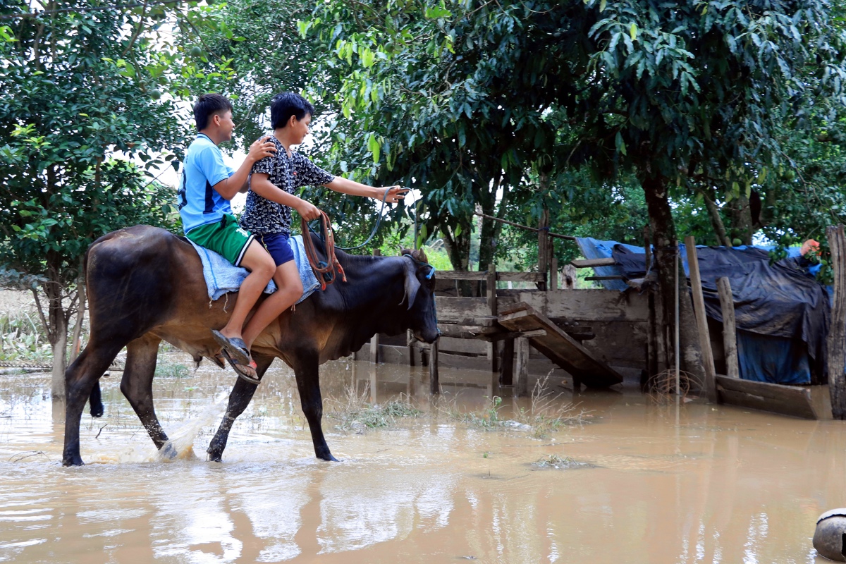 Inundaciones en la Amazonía de Bolivia afectan a 2.000 familias y el agua potable escasea