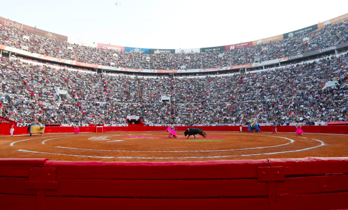 Congreso CDMX aprueba dictamen de corridas de toros sin violencia