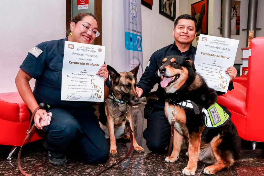 Distingue Federación Canófila labor de unidades caninas del Senasica