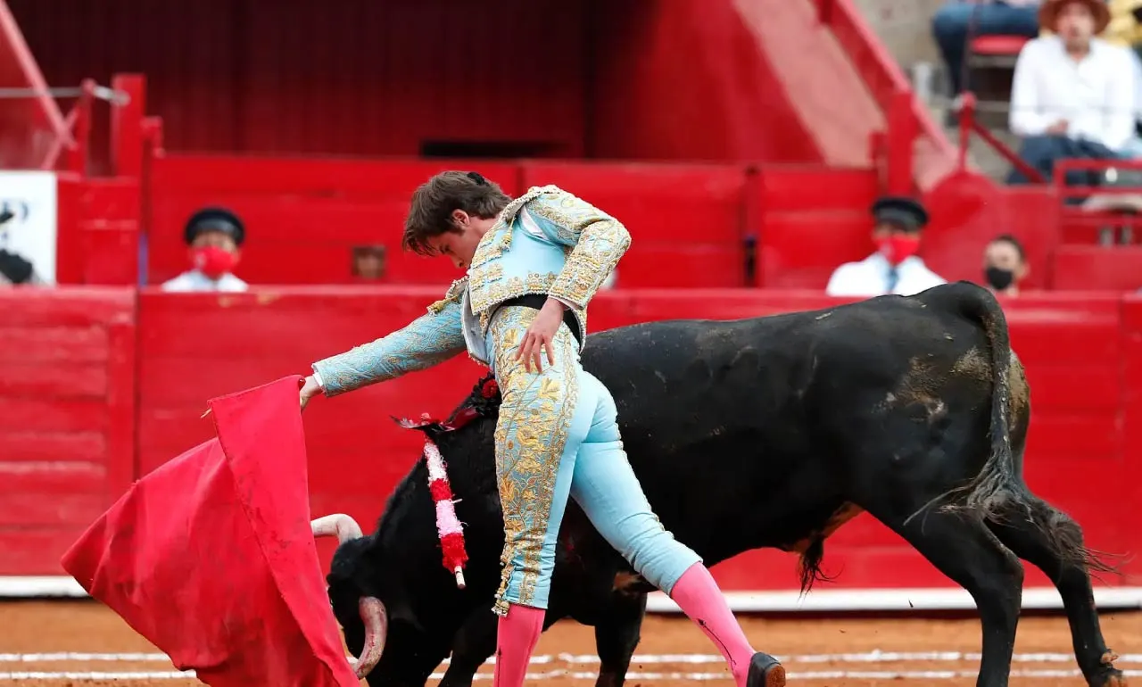 Es tiempo de revisar corridas de toros, Constitución prohíbe maltratar a animales: Sheinbaim
