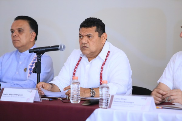 Gobierno del Pueblo destinará más de 12 mil mdp en 2025 para atender causas que generan la inseguridad: Javier May