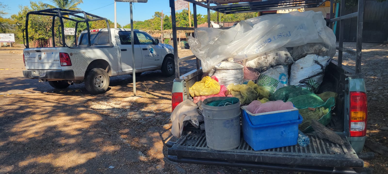 Decomisan AGRICULTURA y MARINA más de 157 mil kilos de producto pesquero ilegal en 12 estados