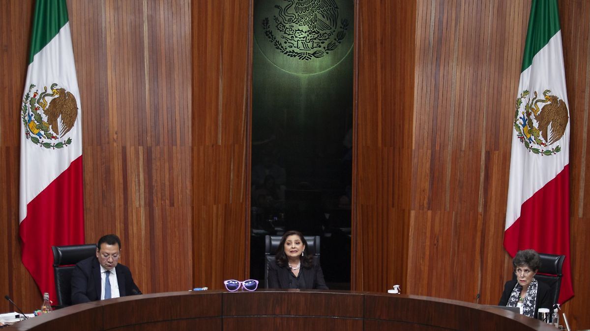 Tribunal Electoral ordena al INE ampliar motivos para cancelar candidaturas de la elección judicial