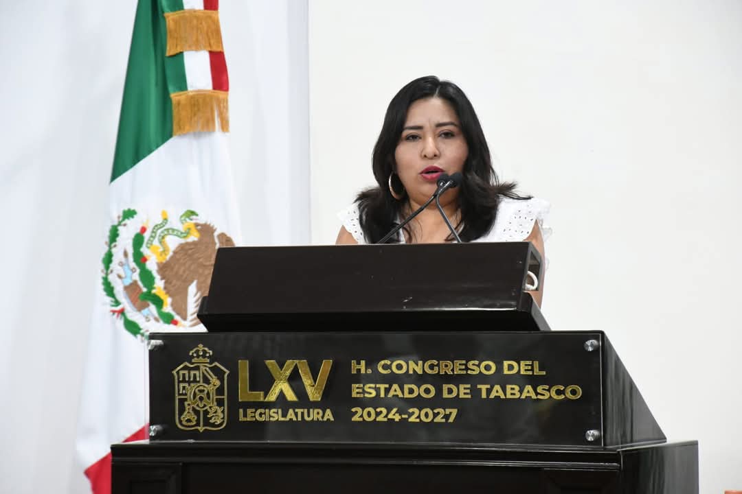 Licencia menstrual por días con goce de sueldo, propone la diputada Ángela Ávalos