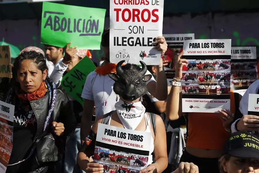 Taurinos protestan contra la nueva ley de corridas “sin sangre” de CDMX