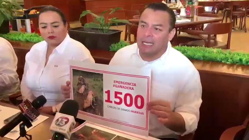 Urge Comisión especial para atender crisis ganadera en Tabasco: Erubiel Alonso Qué