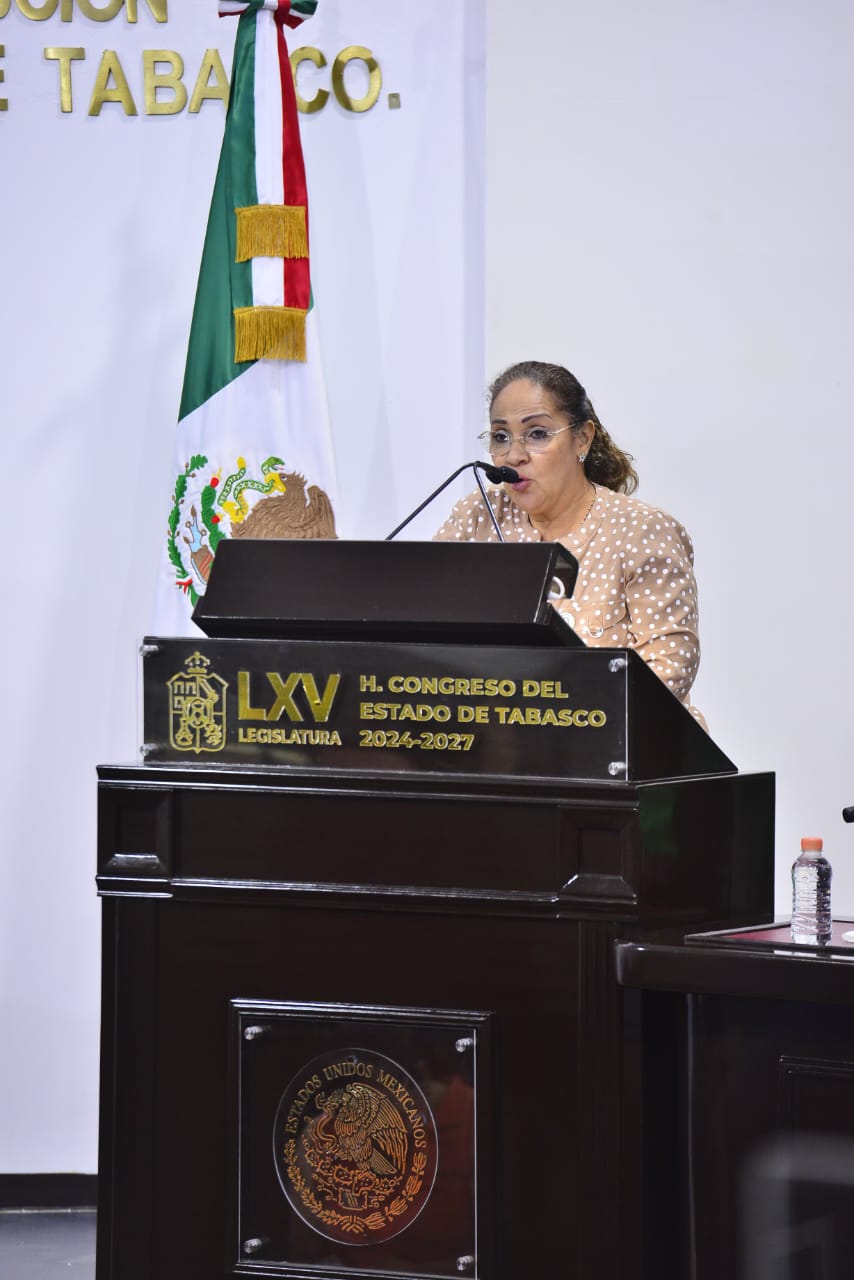 CFE y gobierno federal deben garantizar calidad en servicio eléctrico: Patricia Lanestosa