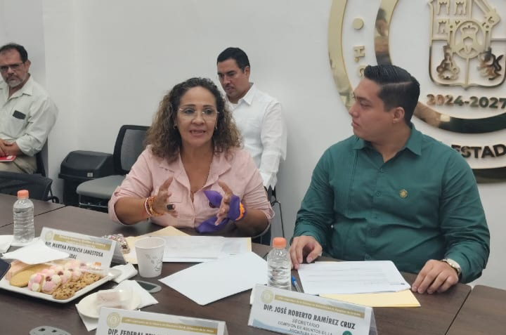 Que el municipio de E. Zapata se incluya en los estímulos fiscales fronterizos: Patricia Lanestosa Vidal