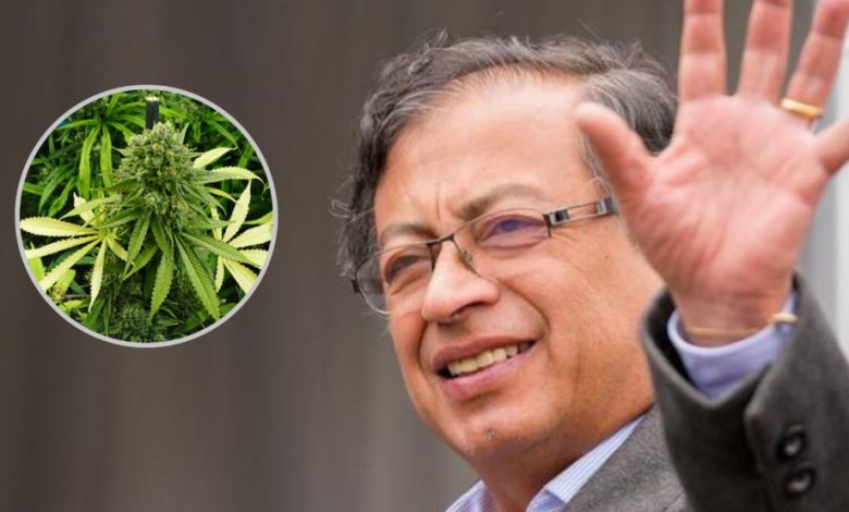 Gustavo Petro pide legalizar el cultivo de marihuana en Colombia para reducir la violencia