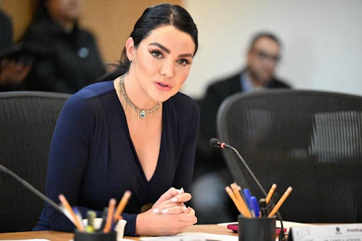 Morena buscará que prohibición de nepotismo electoral entre en vigor en 2027