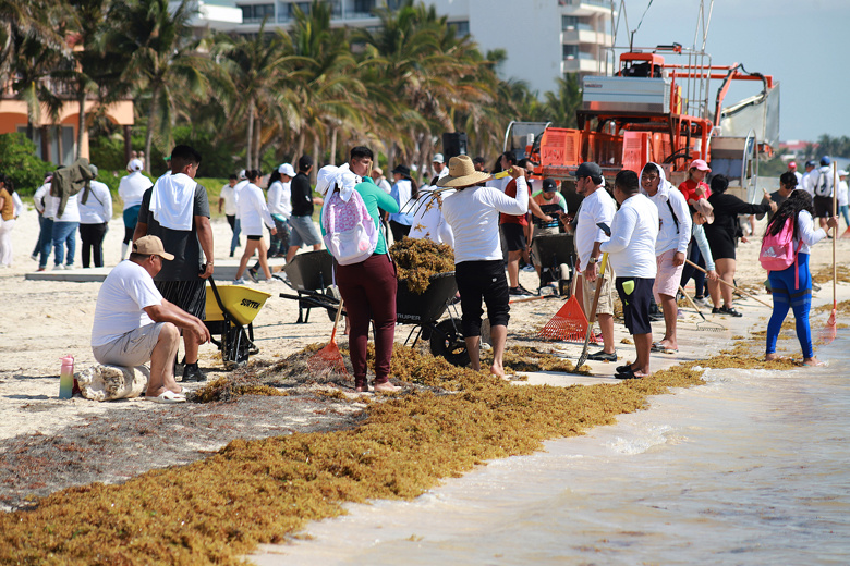 Arman operativo contra el sargazo en el Caribe mexicano por Semana Santa