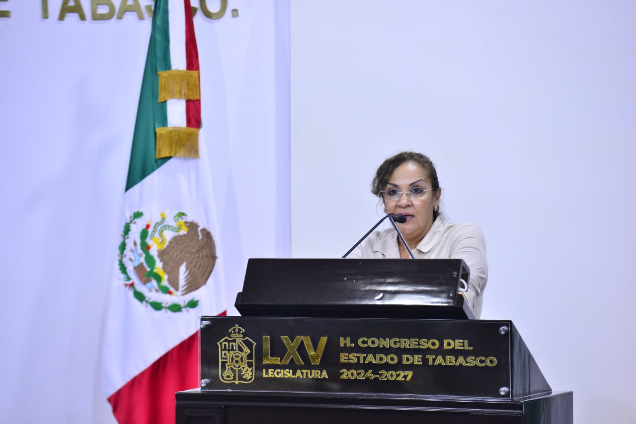 Elección judicial representa grandes desequilibrios e inequidades: Patricia Lanestosa