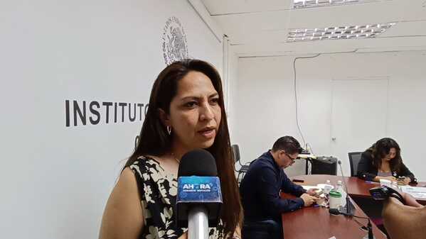 14 personas con discapacidad participarán como funcionarios de casilla