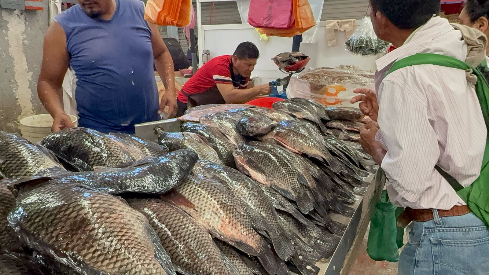Incrementa hasta un 80 por ciento venta de pescados en esta Cuaresma