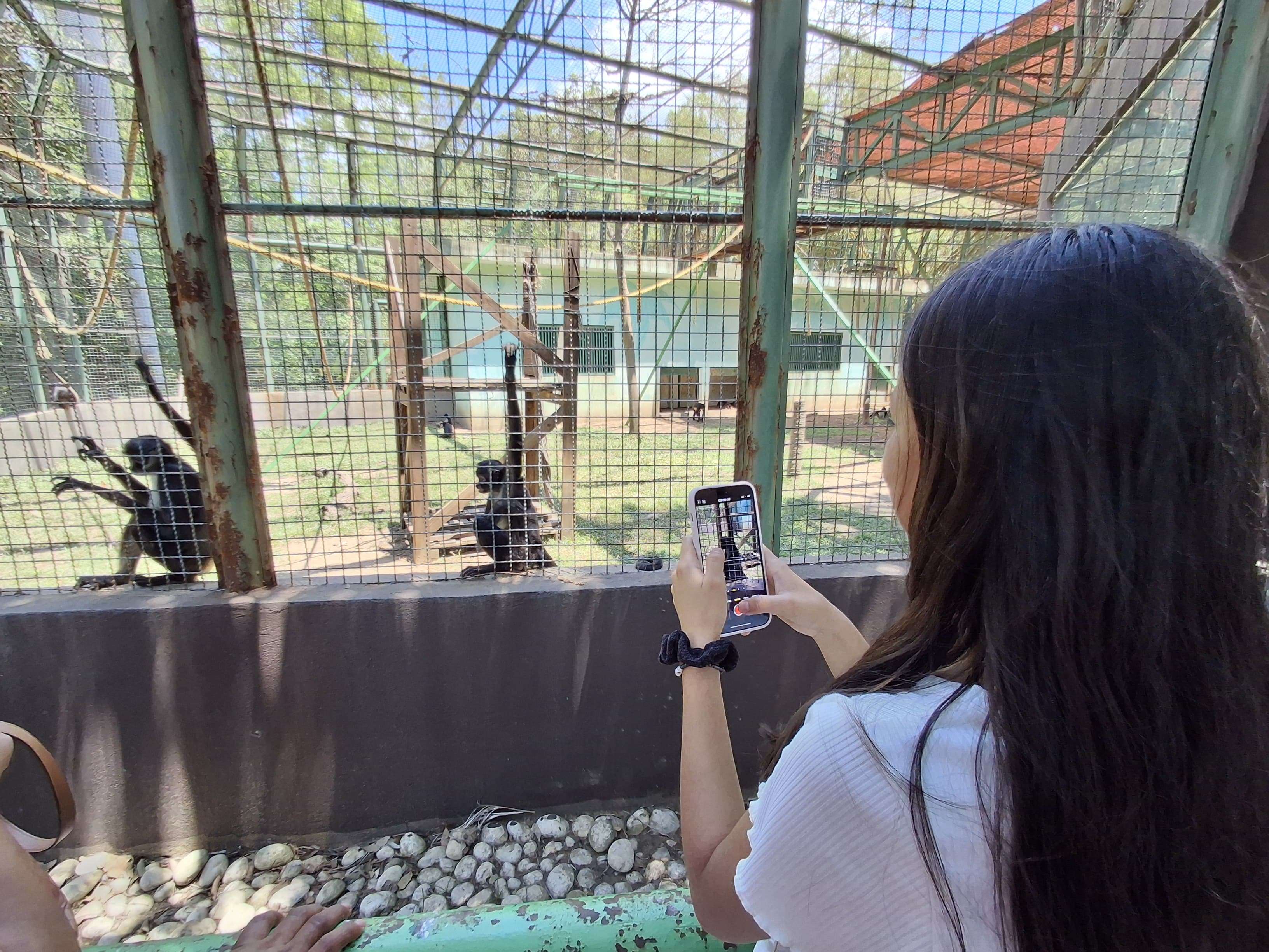 Yumka’ una opción imposible de perderse para conectar con la naturaleza, resaltan turistas locales y foráneos