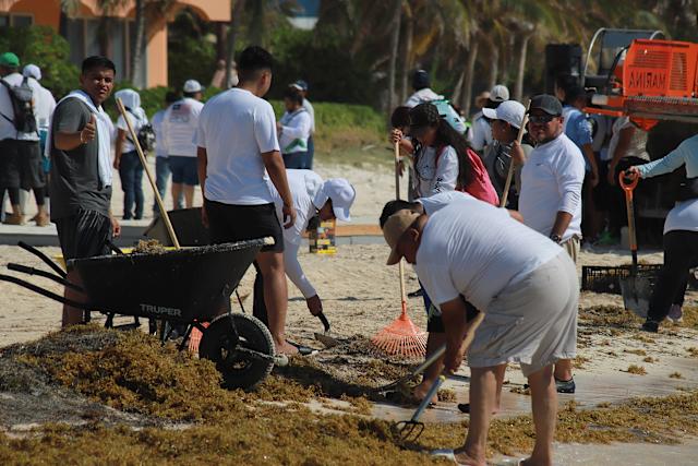 Arman operativo contra el sargazo en el Caribe mexicano por Semana Santa