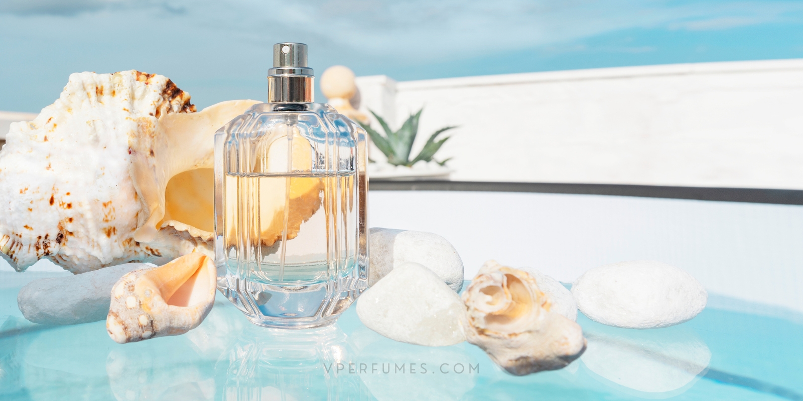9 perfumes más deseados del verano 2025