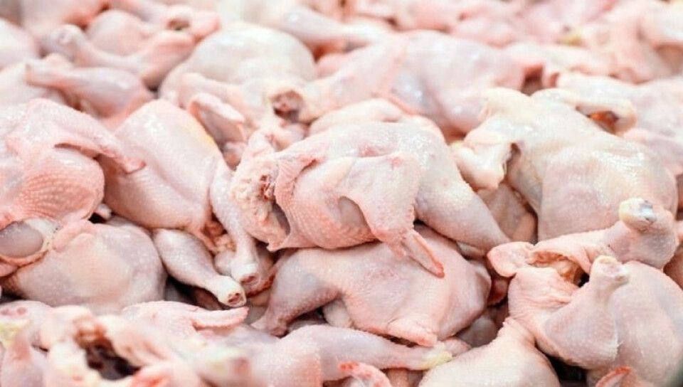China suspende la importación de productos de pollo y sorgo de algunas empresas de EE UU