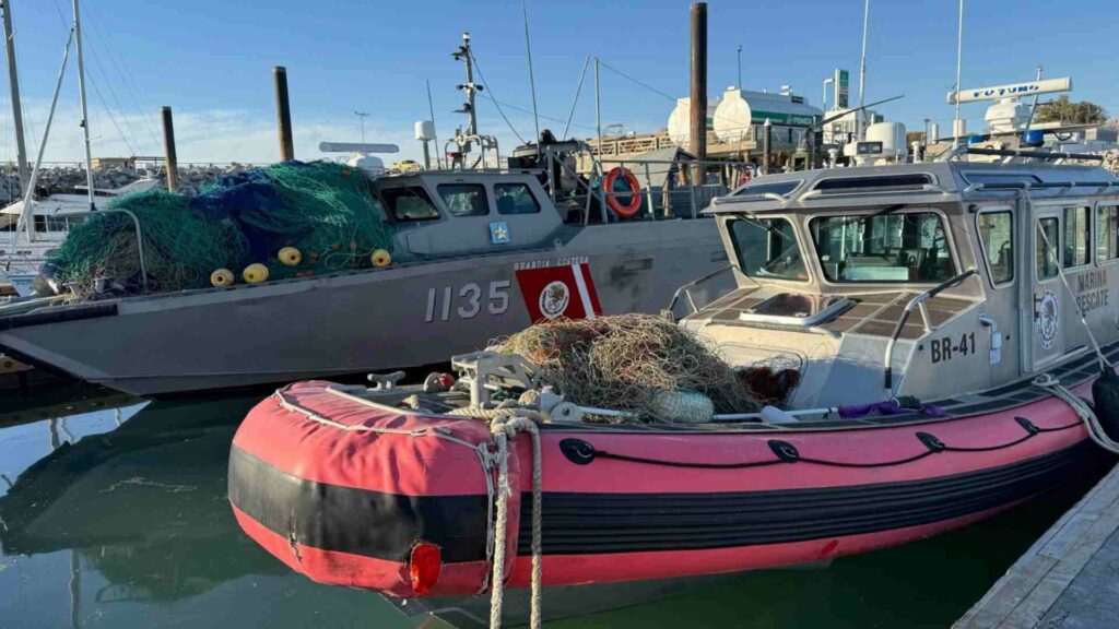 Semar intensifica esfuerzos para proteger el Alto Golfo de California
