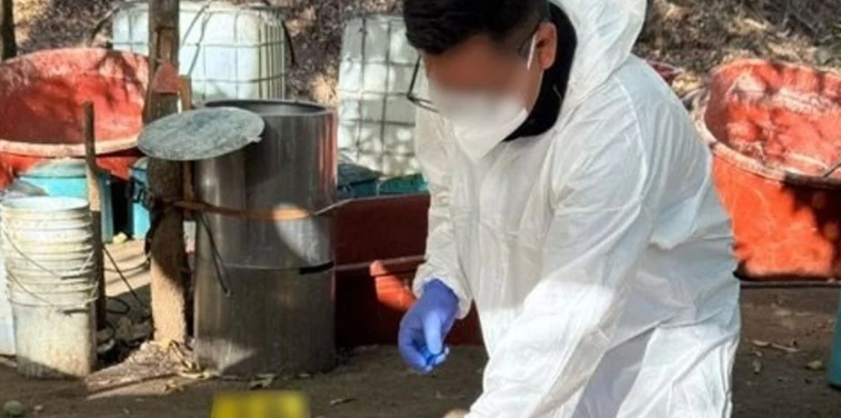 Desmantelan 3 narcolaboratorios en Sinaloa en operación conjunta México-EU