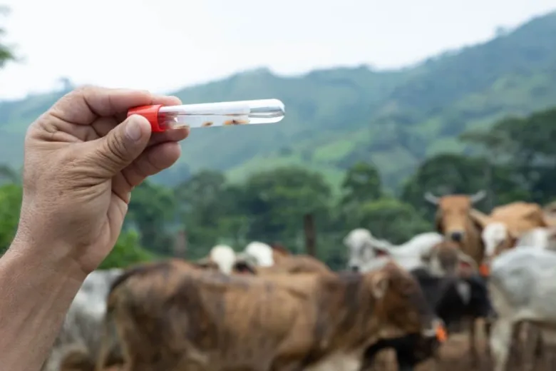 Suman cuatro casos de miasis por gusano barrenador en humanos en México