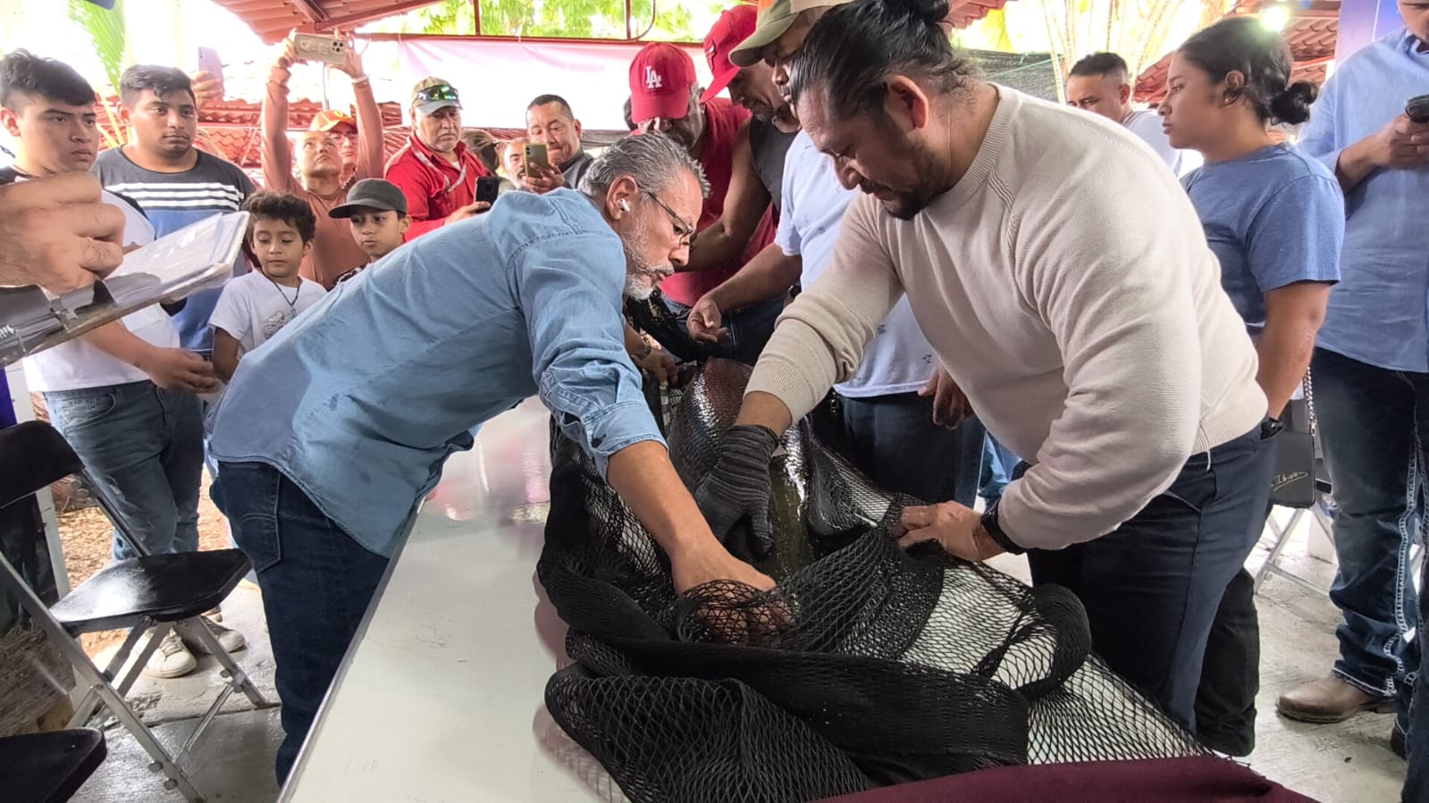 Con Pescando Vida y concursos inéditos, Gobierno del Pueblo cumple su palabra, defiende y saca adelante al sector acuícola