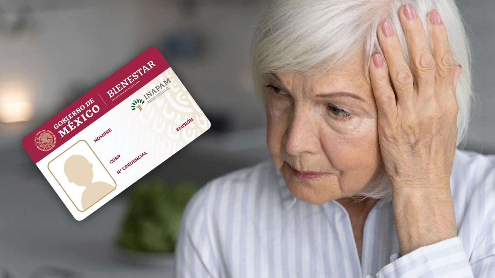 INAPAM suspende emisión de credenciales en Edomex