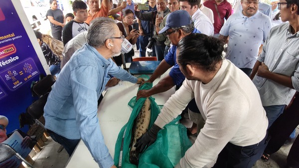 Gobierno del Pueblo impulsa al sector acuícola con Concurso del Pez Más Grande en el Stand de la SEDAP