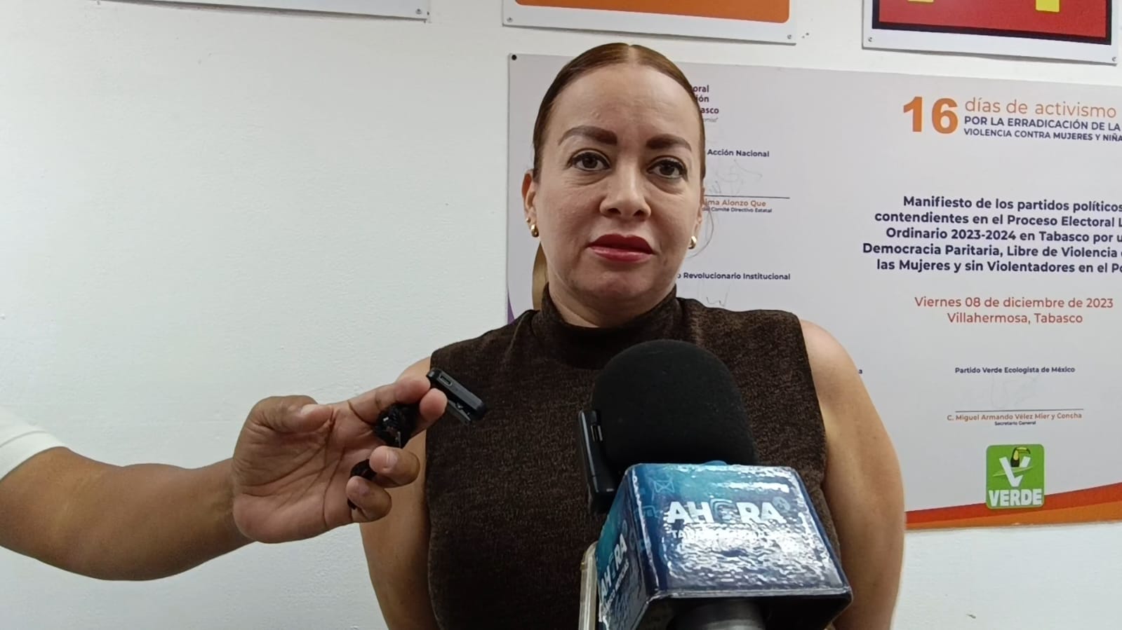 PVEM Tabasco analiza crear un refugio para perritos: Gabriela Sastré