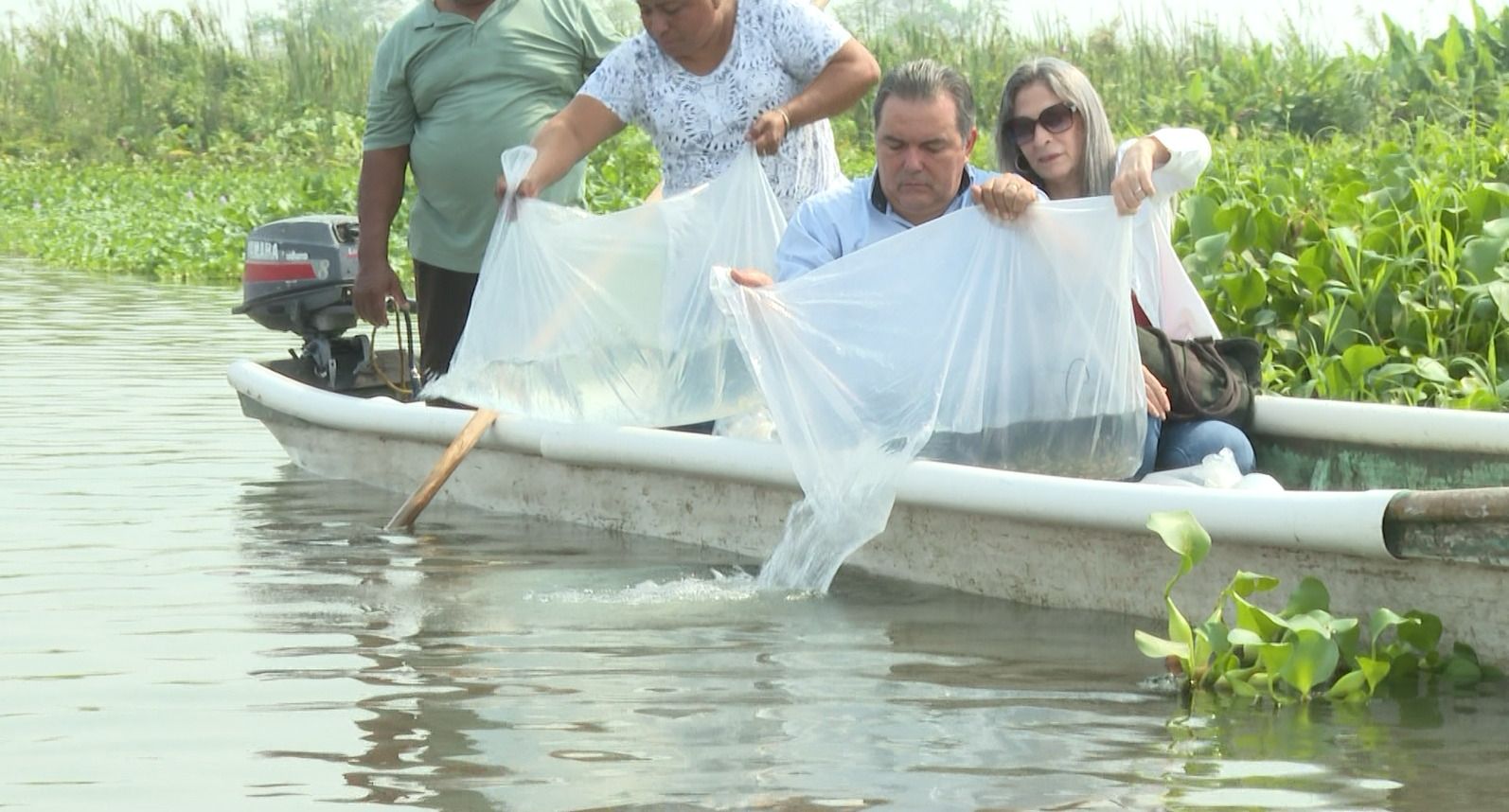 En “La ciencia está en los detalles” comparten la fascinante vida de los robalos