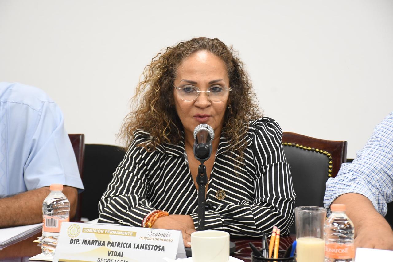 Exigimos a las autoridades y a la CFE atender apagones: Patricia Lanestosa Vida