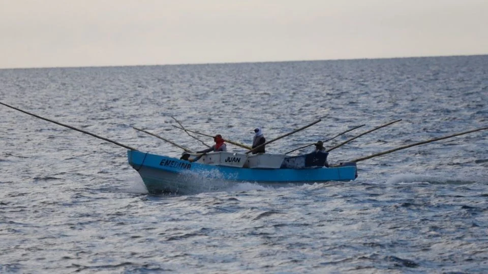 EU acusa a cuatro mexicanos de presunta pesca ilegal en el Golfo de México