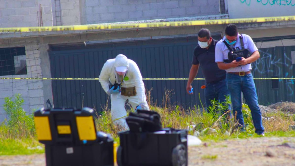 Colectivo encuentra fosa con restos humanos en rancho de Palmar de Bravo, Puebla