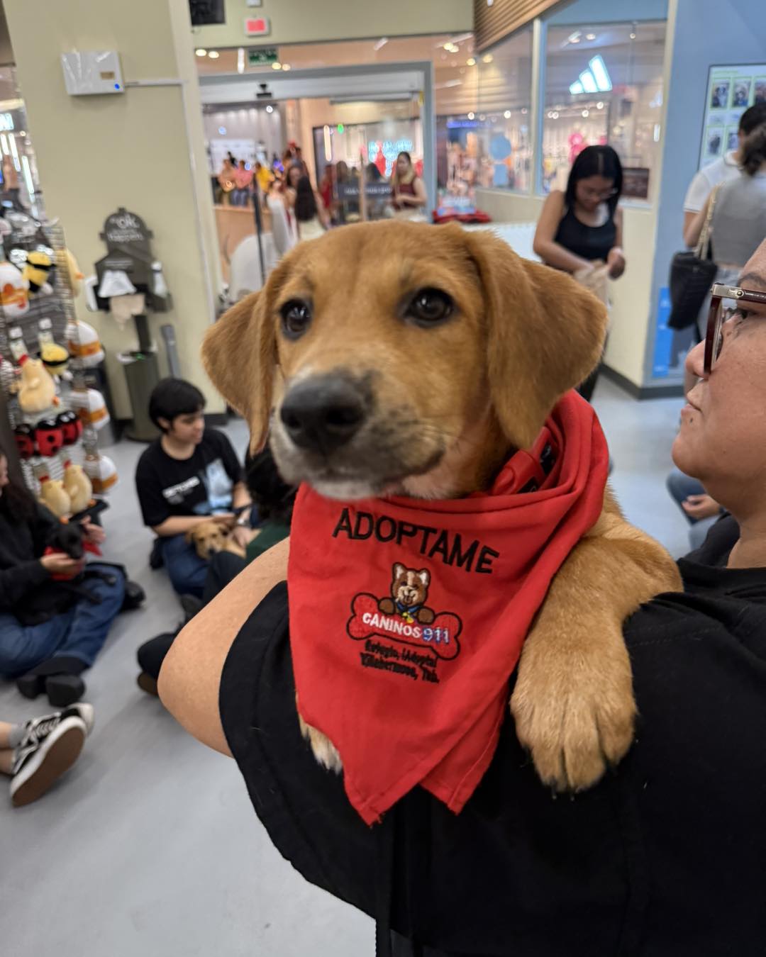 Presidente de la CMIC Tabasco se suma al llamado de apoyo de Caninos 911