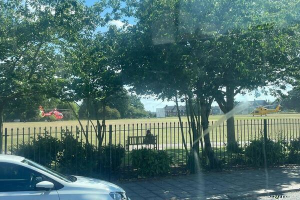 Caída de árbol en Inglaterra deja cinco niños heridos; dos se reportan graves