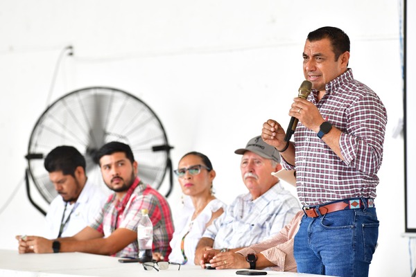 Rinden resultados acciones contra el gusano barrenador: Sedap